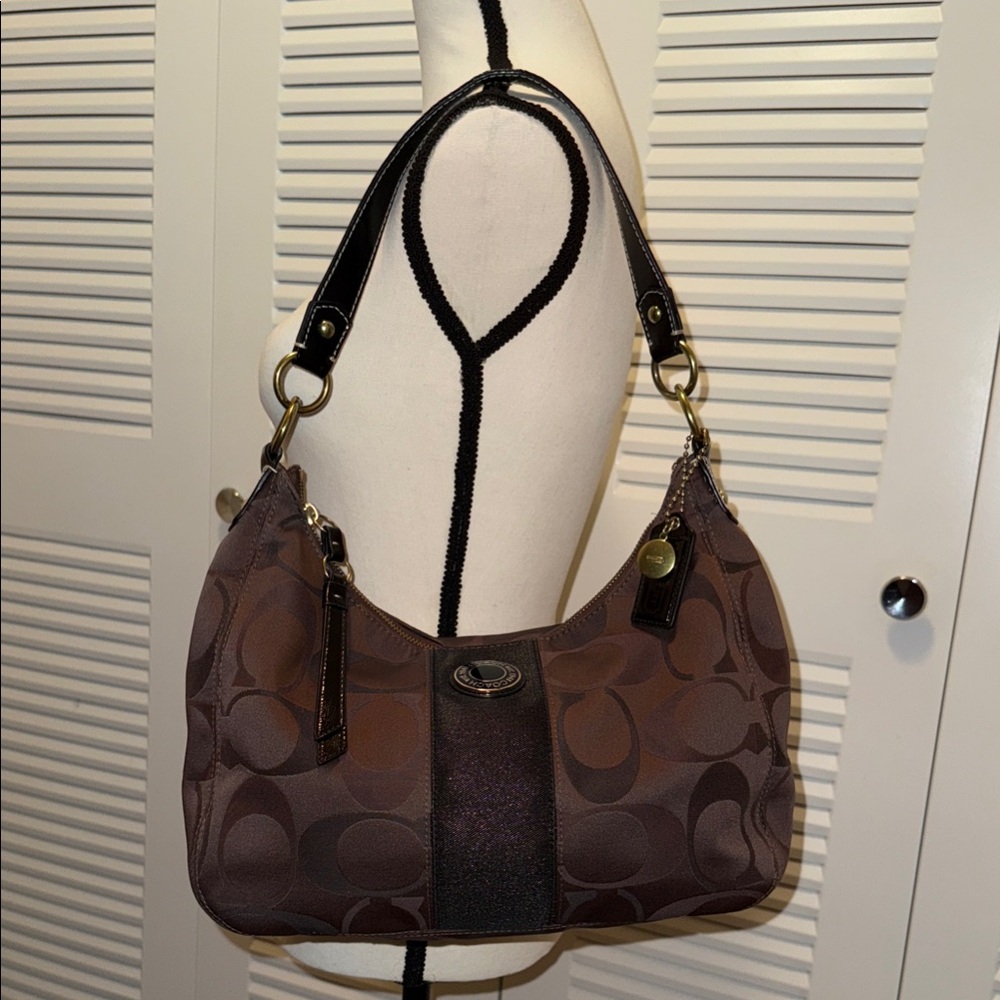 Coach Brown Hobo Bag Women’s Purse F20042